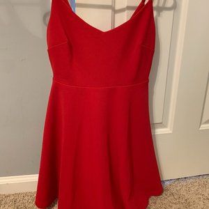 Lulus Red Skater Dress